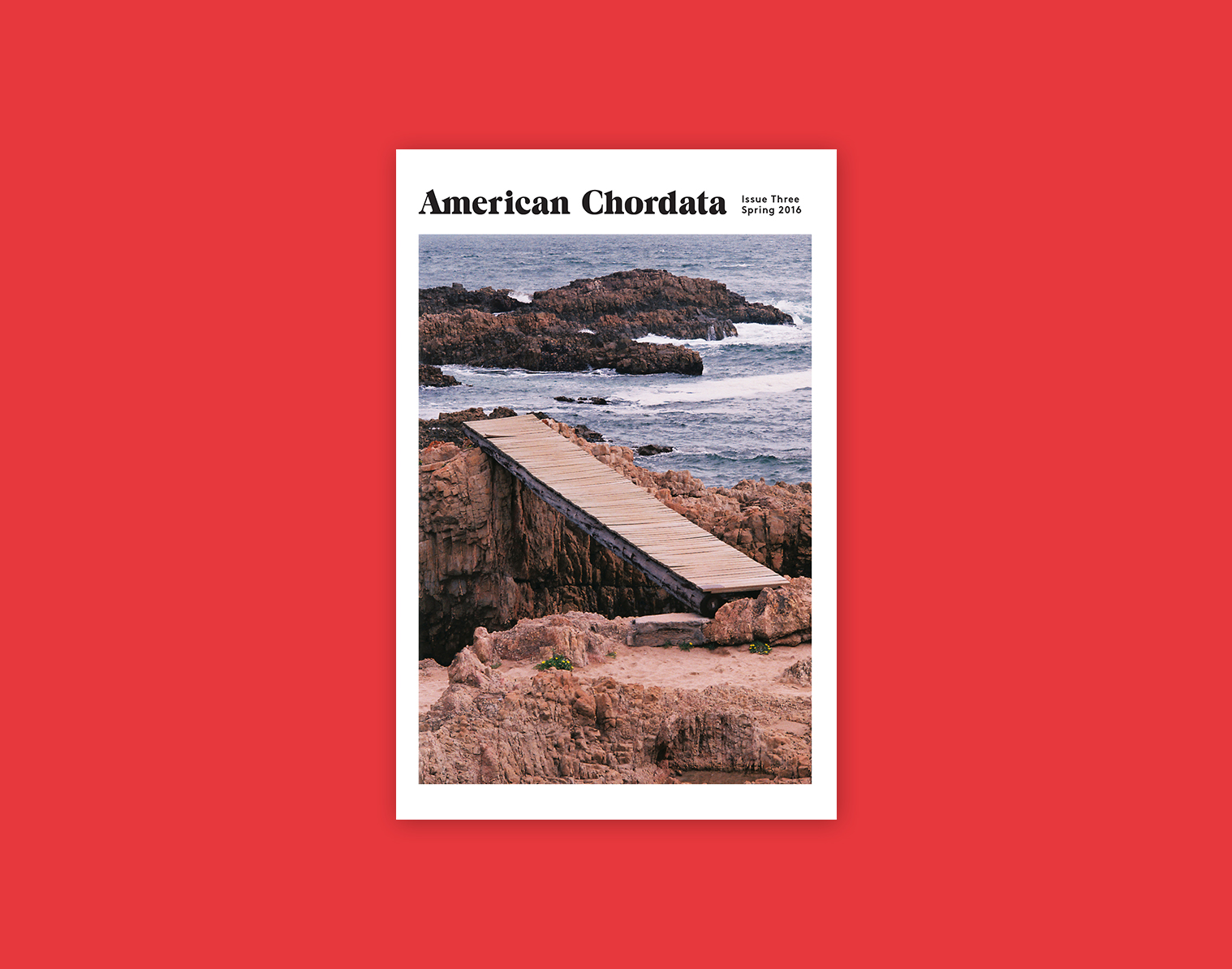 American Chordata