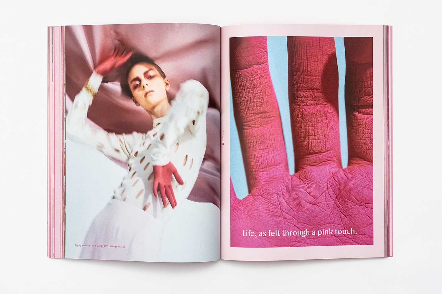 Revista "Sindroms" Pink interiores