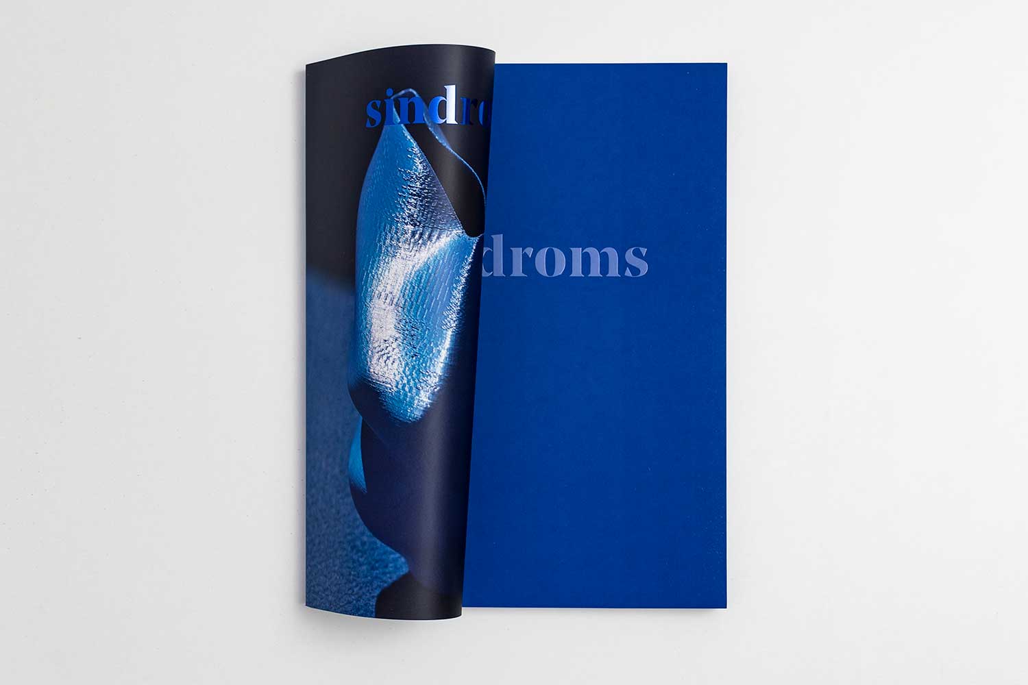 Revista "Sindroms" Blue portada detalle