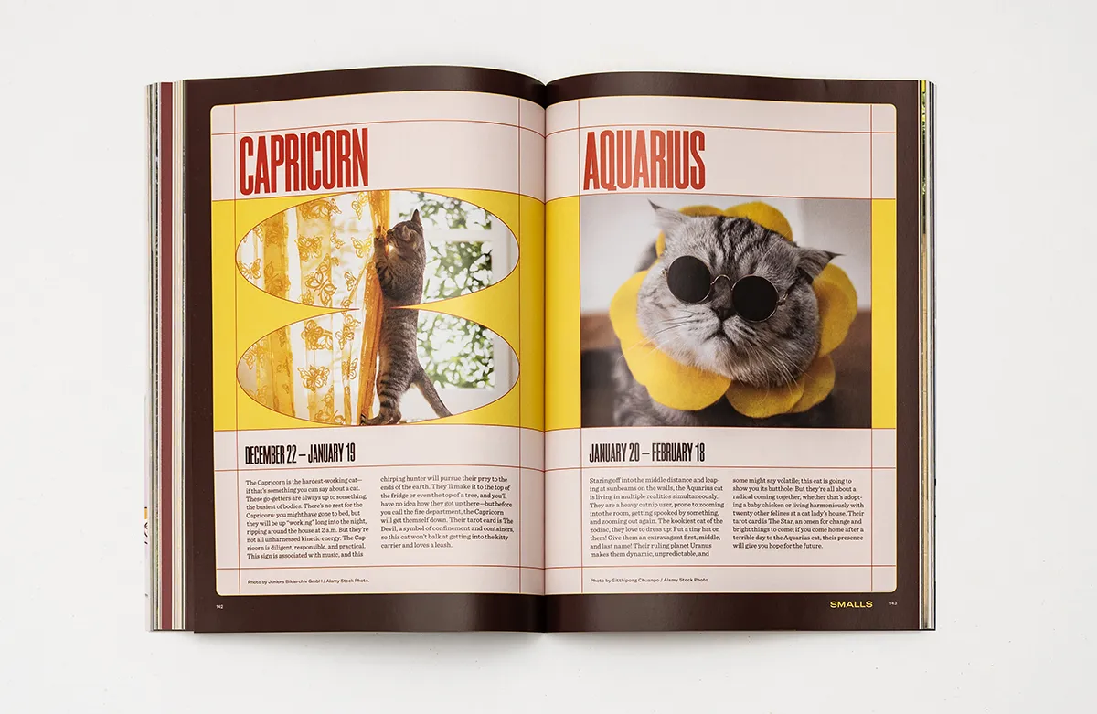 Revista Catnip USA, tripas