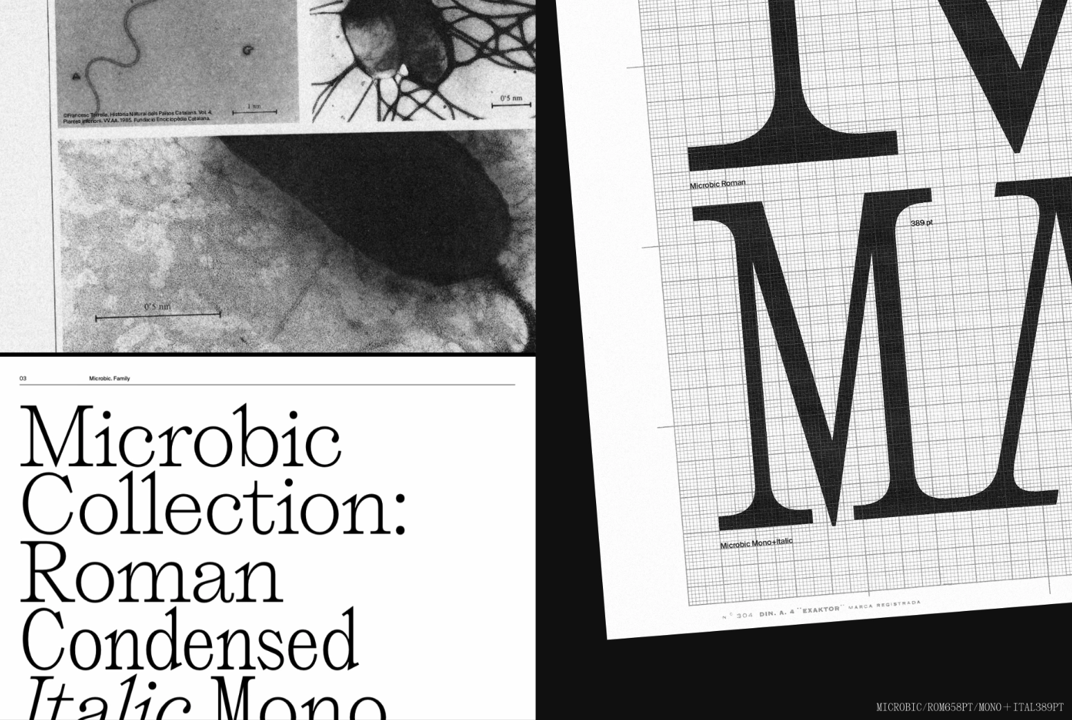 Tipografía Microbic