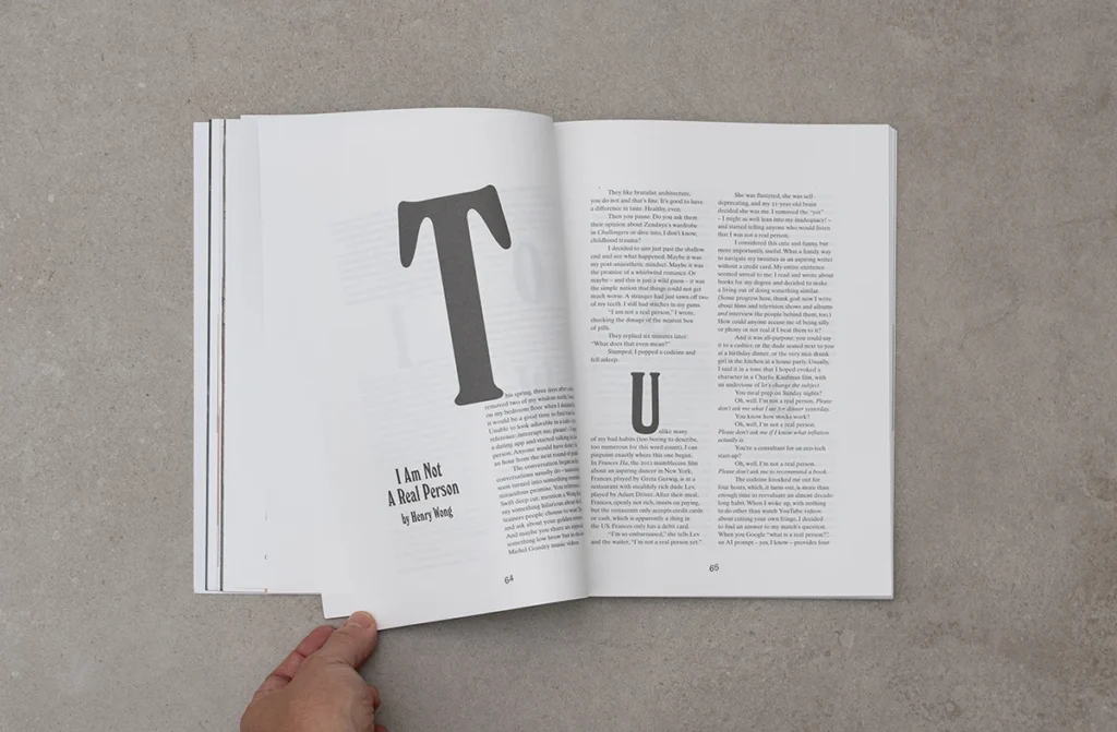 Revista Paperboy pliegos interiores