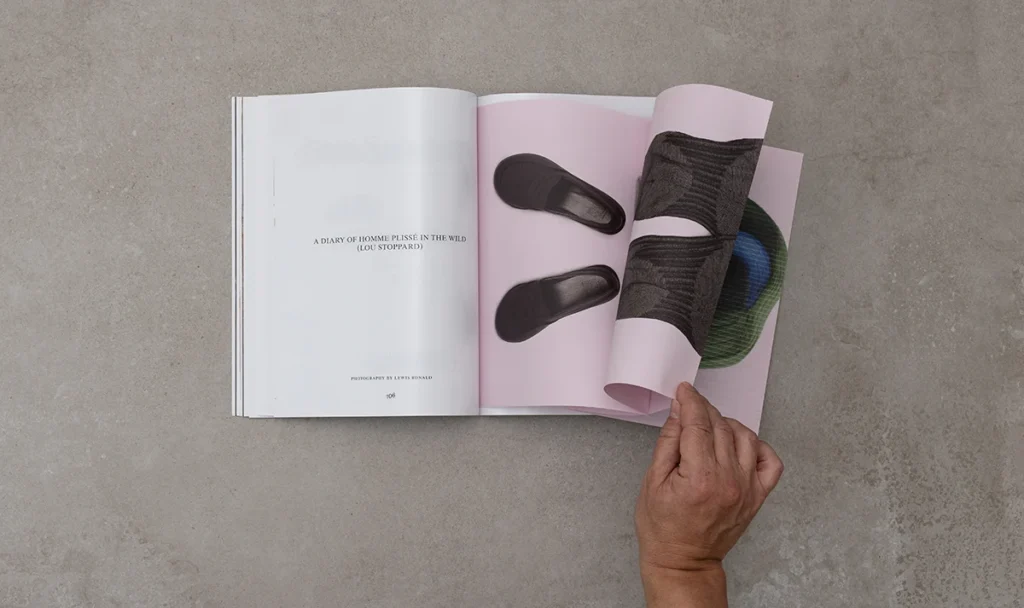 Revista Paperboy. Desplegables
