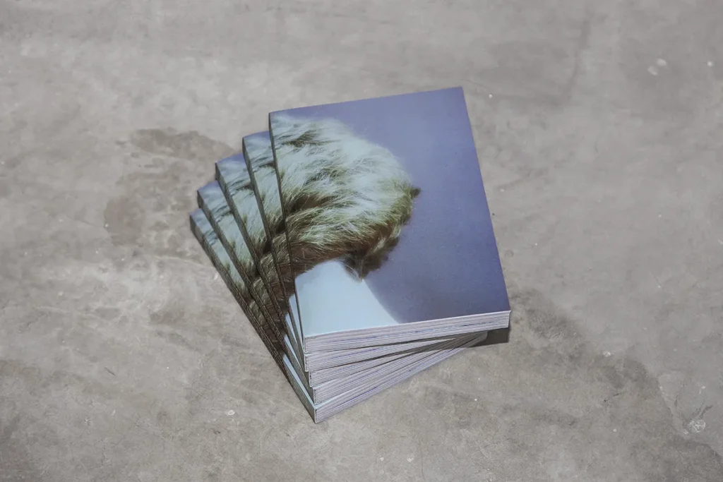 Ferd. Fischmaller. Fotolibro editado por Festiu. Varios libros apilados.